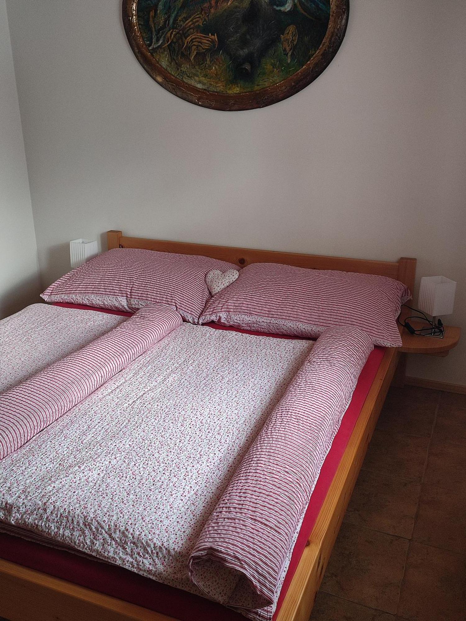 Apartmany Pod Vysakem Starkov  Номер фото